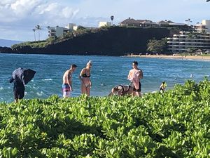 Maui