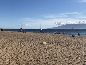 Maui