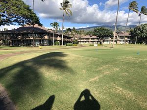 Maui