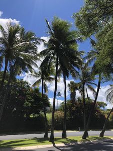 Maui