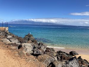 Maui