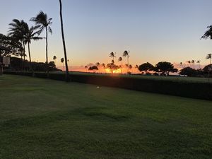 Maui