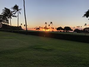 Maui