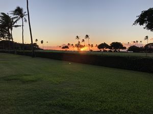 Maui