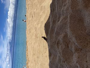 Maui