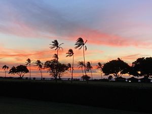 Maui
