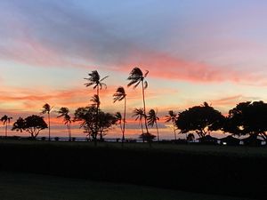 Maui