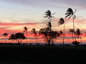 Maui