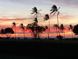 Maui