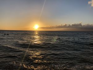 Maui