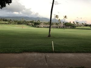 Maui