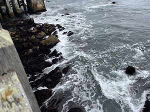 Monterey