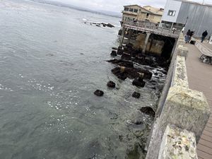 Monterey