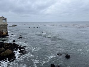 Monterey
