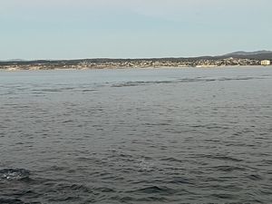 Monterey