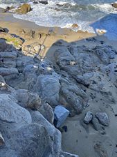 Monterey