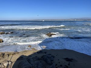Monterey