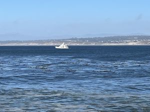 Monterey