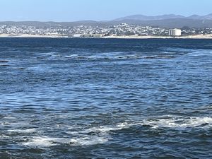 Monterey