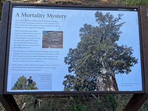 Monterey