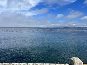 Monterey