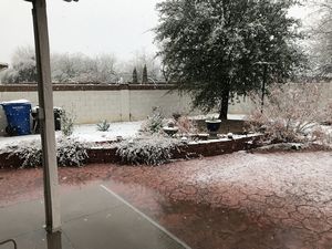 Snow