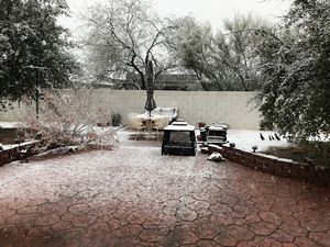 Snow