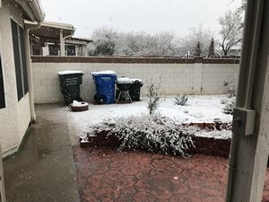 Snow