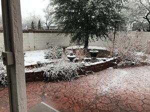 Snow