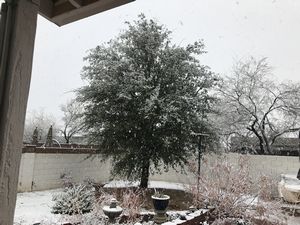 Snow