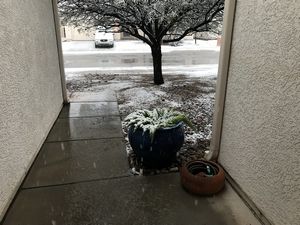 Snow