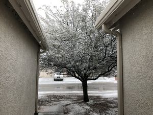 Snow
