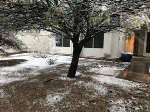 Snow