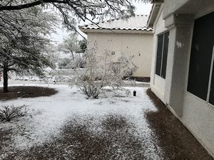 Snow