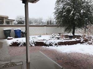 Snow
