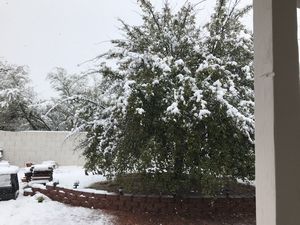Snow