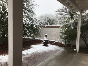 Snow