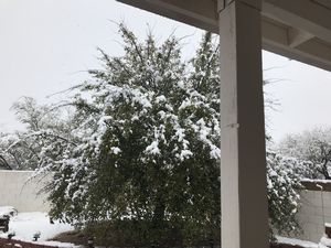 Snow