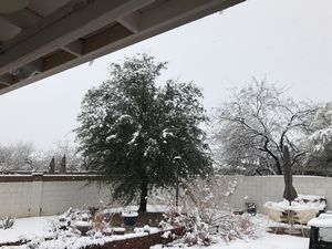 Snow