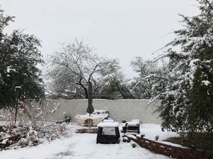 Snow
