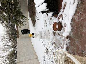 Snow